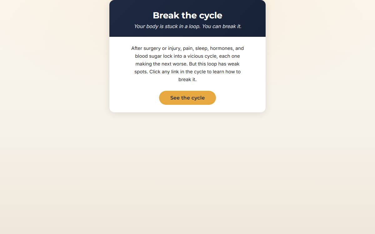 Break the Cycle screenshot